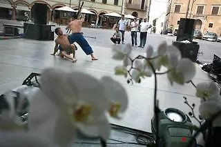 Palazzo Bontadosi & 4* Montefalco